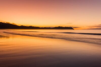 3.5 hour Sunset Tour on Waiheke Island - Meeting point and ride plan: syncing your ferry with the 4:03 pm start