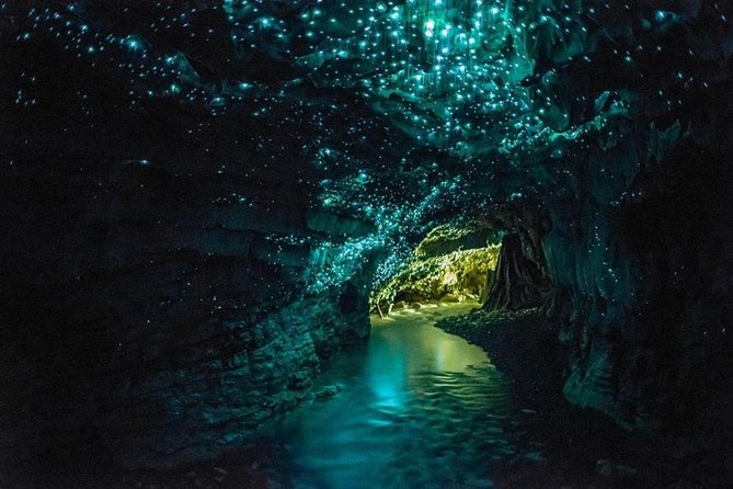 5-Day New Zealand North and South Island Highlights Tour - Key Things To Know Before You Go