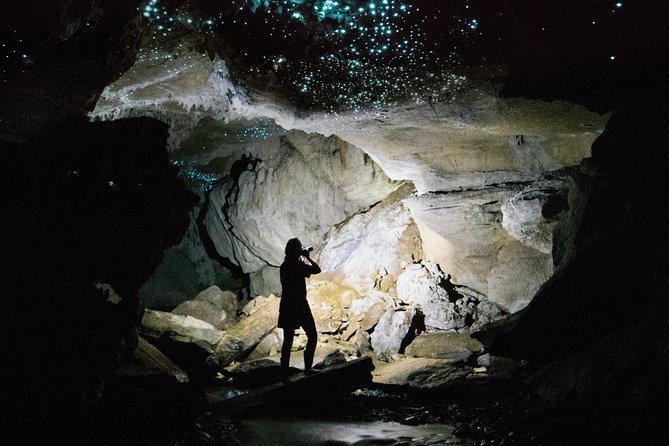 90-Minute Guided Ruakuri Cave Tour Waitomo - Wheelchair access and who this route suits best