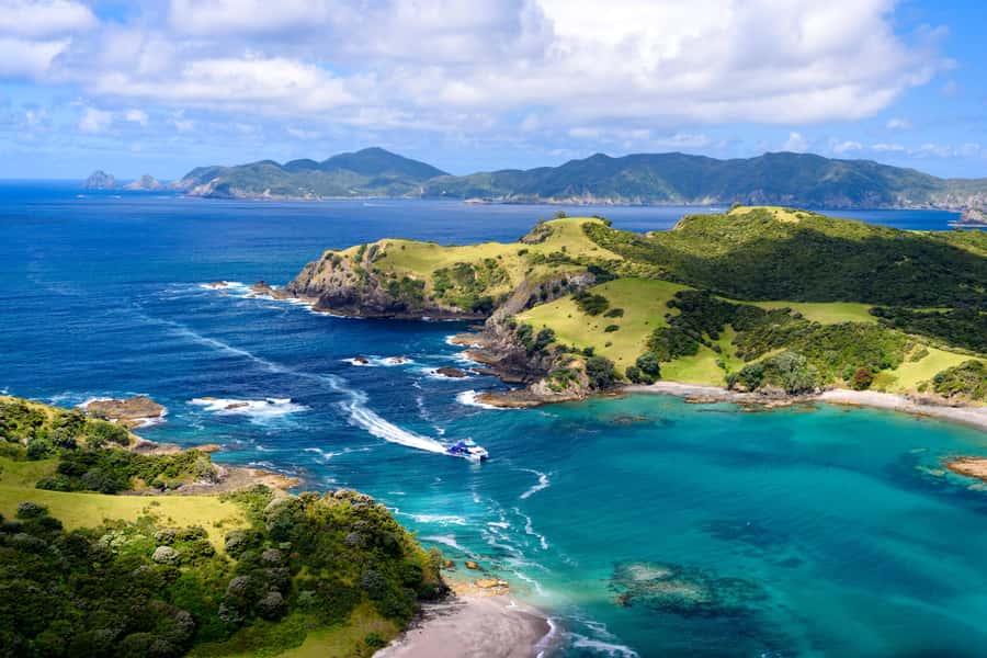 Auckland: Bay of Islands Day Tour with Dolphin Cruise - On the Water in a Dolphin and Whale Watching Catamaran