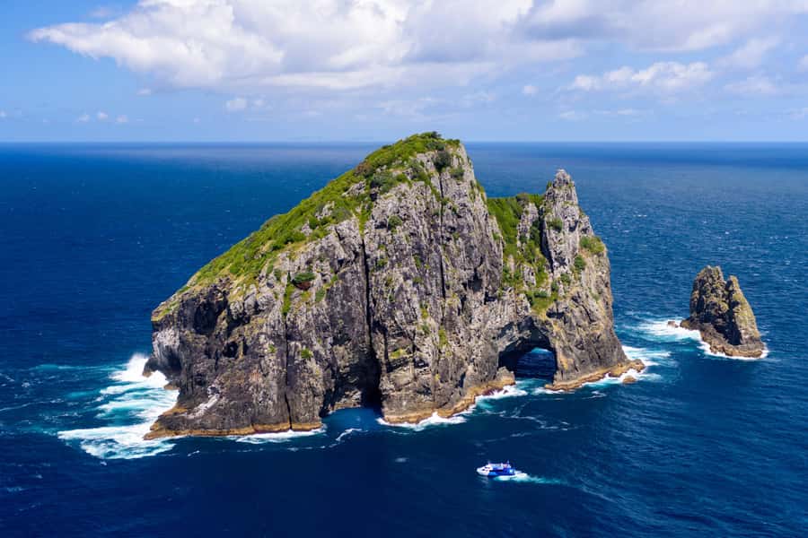 Auckland: Bay of Islands Day Tour with Dolphin Cruise - Who This Tour Fits Best (and Who Should Skip It)