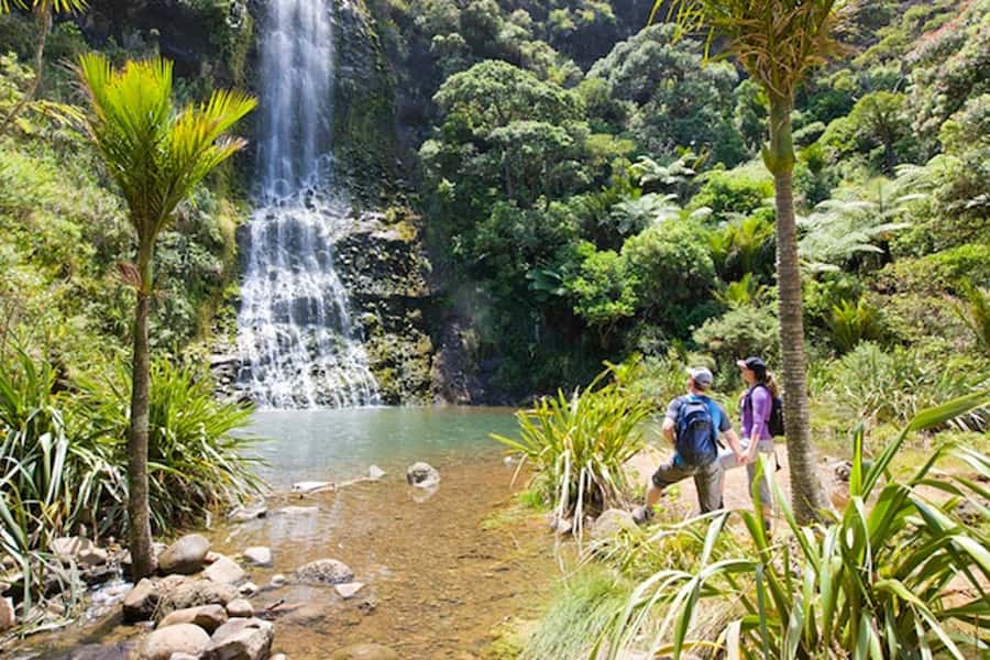 Auckland City and West Coast Luxury Tour - Tamaki Drive: where the harbour, beaches, and viewpoints connect