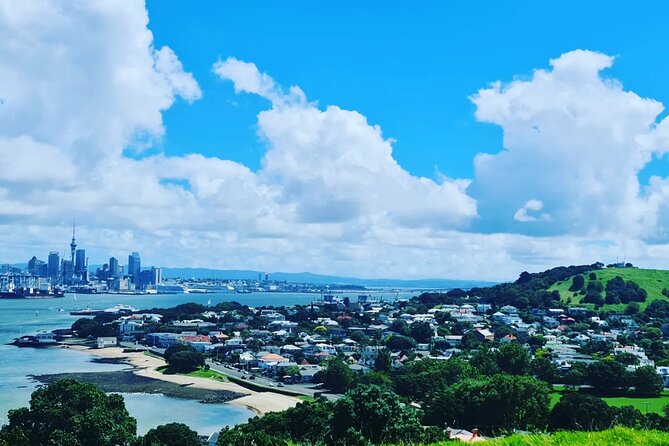 Auckland City Highlights Full Day Tour - Pickup, Timing, and What a 6–7 Hour Day Feels Like