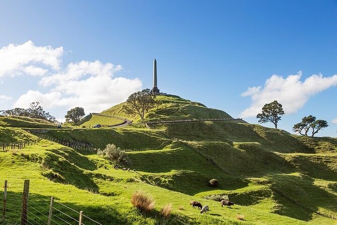 Auckland City Highlights Private Tour - Achilles Point and Rangitoto Island: the best kind of “wow”
