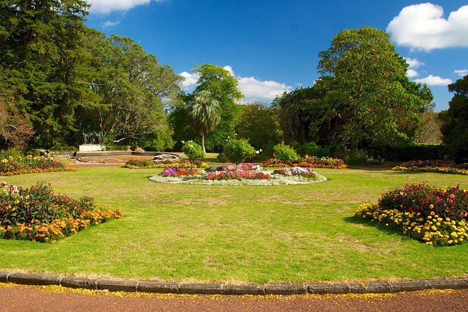 Auckland City & Native Forest Experience - Fully Guided Day Tour - The ride experience: comfort, Wi‑Fi, and a guide who keeps the day moving
