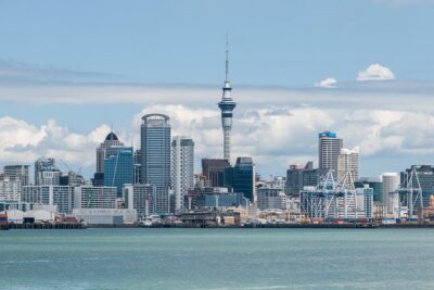 Auckland City & Native Forest Experience - Fully Guided Day Tour - Meeting at Movenpick, starting at 8:00, and why the morning timing helps