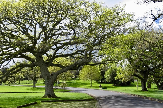 Auckland City Private Tour for Couples. Be chauffeur driven with added extras. - Parnell: rose gardens and a village-style pause
