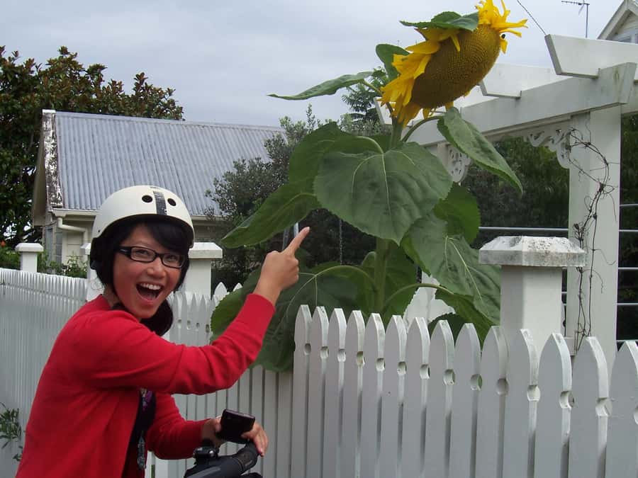 Auckland: Devonport Village Segway Tour - Price and what $53 buys you (quick reality check)
