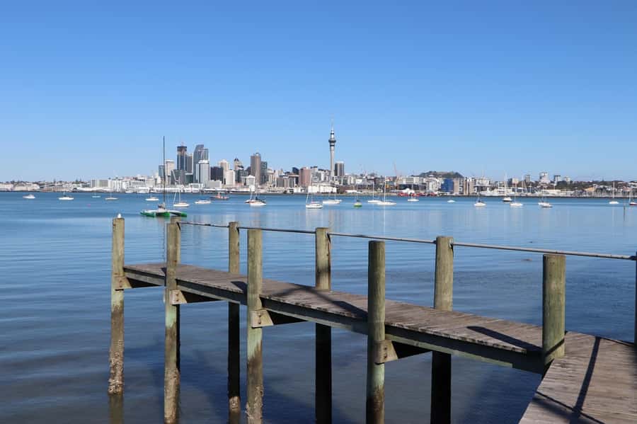 Auckland: Half-Day Scenic Sightseeing Tour - Tamaki Drive and Paritai Drive: Inner-City Beaches With Serious View Power