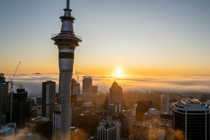 Auckland Highlight Attractions Small Group Tour - Mt. Eden: volcanic crater views with a short hike