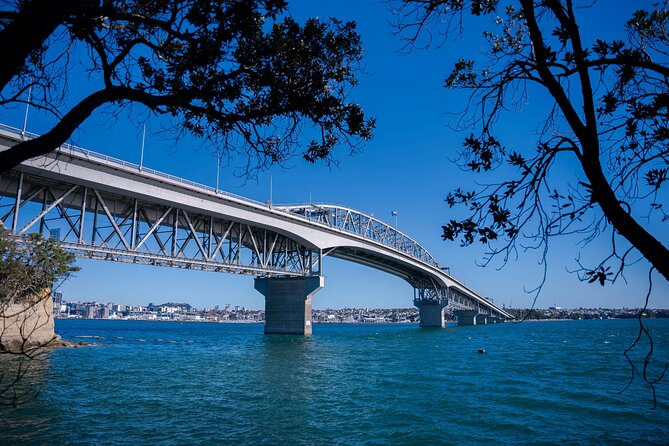 Auckland Highlight Attractions Small Group Tour - What you’re really paying $99.29 for (and why it can be fair)