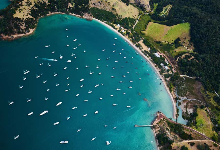 Auckland: Man O' War Vineyard Ferry (Waiheke Island) - Key Points Before You Go