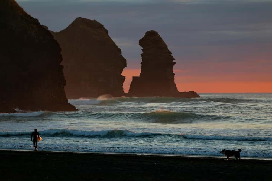 Auckland: Mt. Eden, Piha Beach & Karekare Private Tour - Key highlights worth planning for