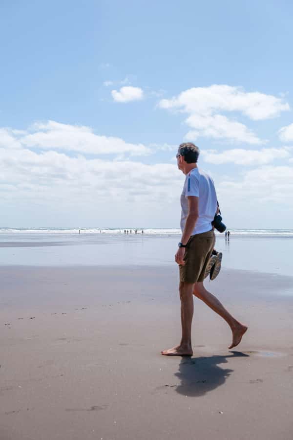 Auckland: Mt. Eden, Piha Beach & Karekare Private Tour - Mt Eden Summit: Crater Views and Māori History on One Stop
