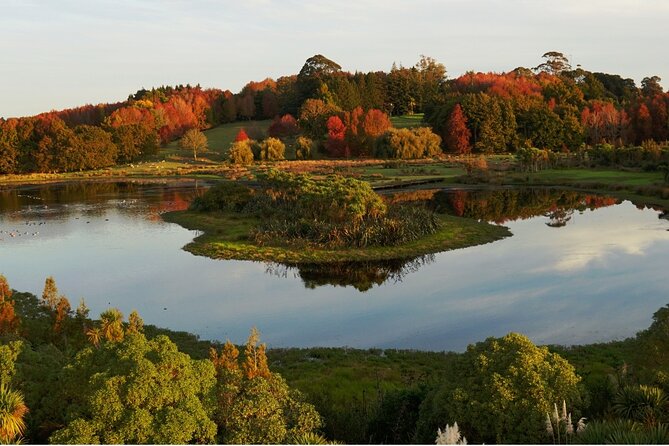 Auckland Nature Tour - Why This Auckland Nature Tour Works Better Than DIY