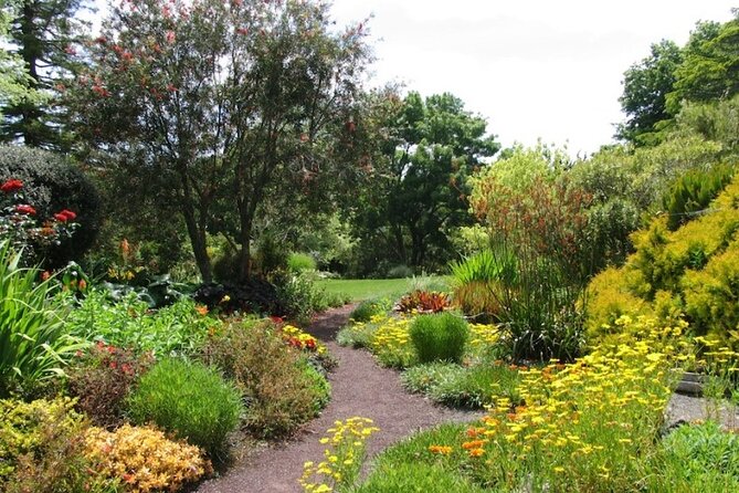 Auckland Nature Tour - Ayrlies Garden & Wetlands: The 2-Hour Stroll That’s Worth Planning Around