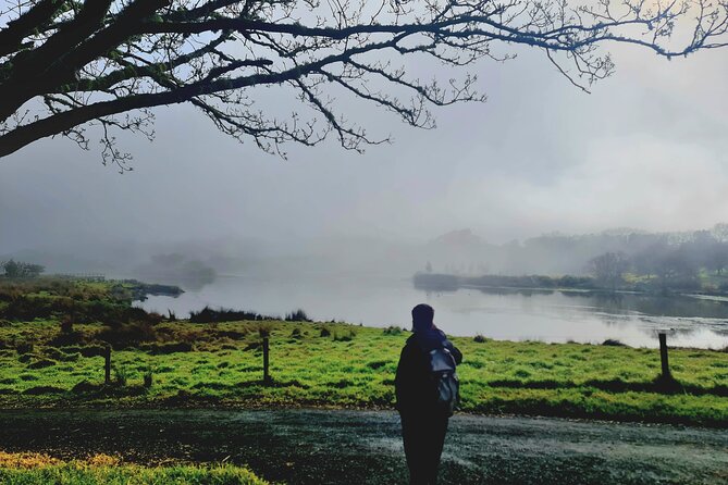 Auckland Nature Tour - Timing, Pickup, and Small-Group Comfort