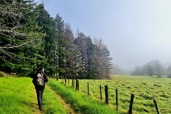 Auckland Nature Tour - Should You Book This Auckland Nature Tour?