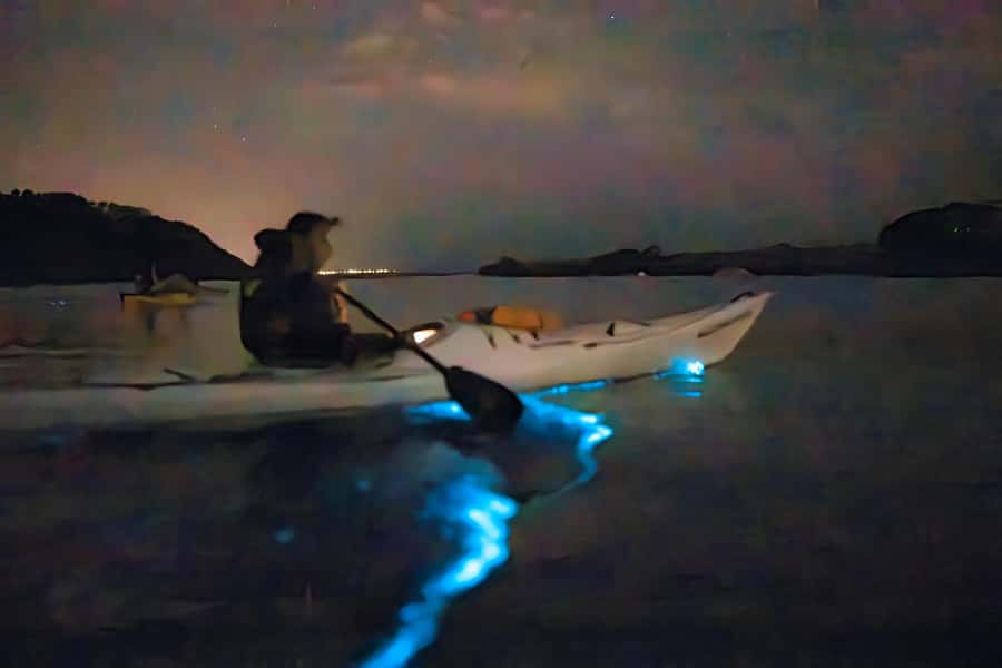 Auckland: Night Kayak Tour in Glowing Bioluminescent Waters - Why Auckland’s Sea Sparkle Feels Like a Sci‑Fi Special Effect