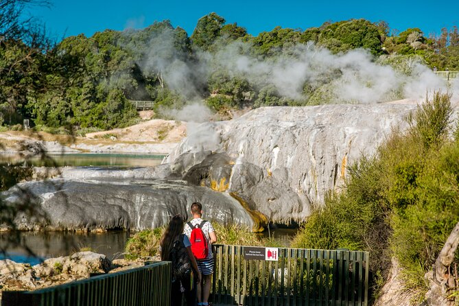 Auckland: Rotorua Te Puia with Haka & Polynesian Spa Small Group - Te Puia thermal valley: steam, workshops, and the kiwi moment