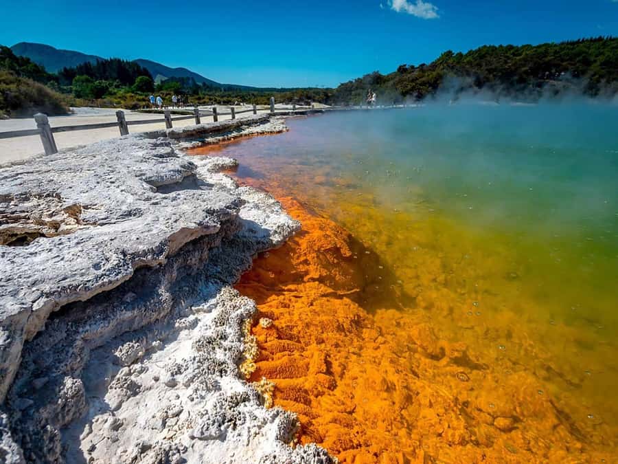 Auckland: Rotorua Wai-O-Tapu, Te Puia with Haka - From Auckland to Rotorua: the road time and why it matters