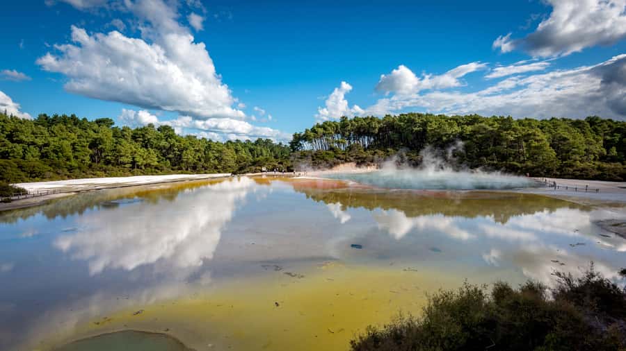 Auckland: Rotorua Wai-O-Tapu, Te Puia with Haka - Wai-O-Tapu and the Lady Knox Geyser: the show you’ll remember