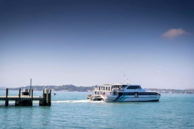 Auckland: Scenic Harbour Sightseeing Cruise - Skyline views that actually feel close: what you’ll see on the water