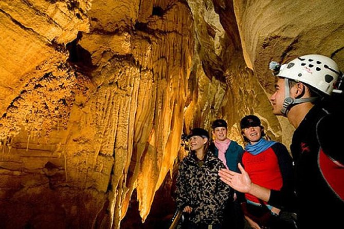 Auckland Sights Exclusive 4 Hour Luxury Day Tour - Stop 3: Achilles Point for big Hauraki Gulf views