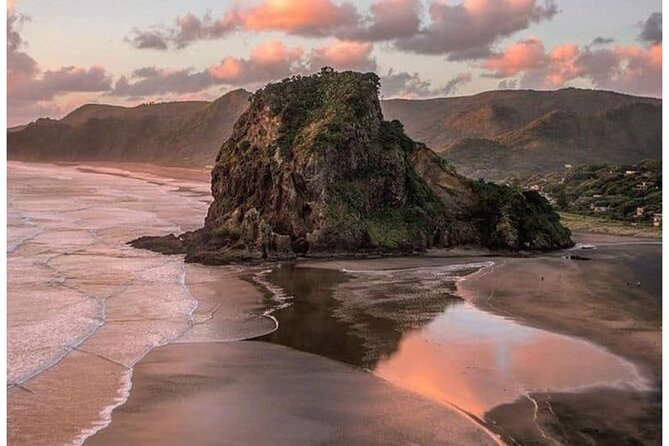 Auckland: Tikapa Moana Dolphin, Whale and Island Cruise - Wildlife-spotting tips that actually help on this cruise