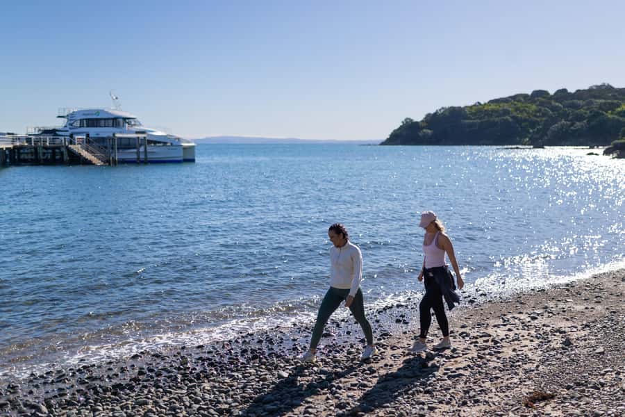 Auckland: Tiritiri Matangi Island Ferry - Tiritiri Matangi arrivals: walking tracks, bird life, and a choose-your-route island