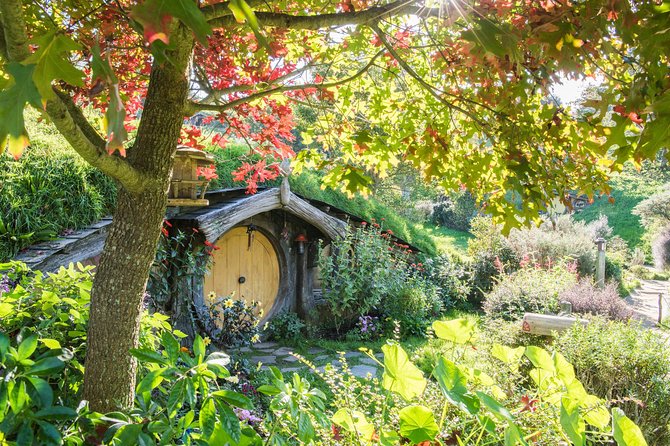 Auckland to Rotorua via Hobbiton Movie Set Tour - One Way - The Green Dragon Inn: a drink and a breather mid-day