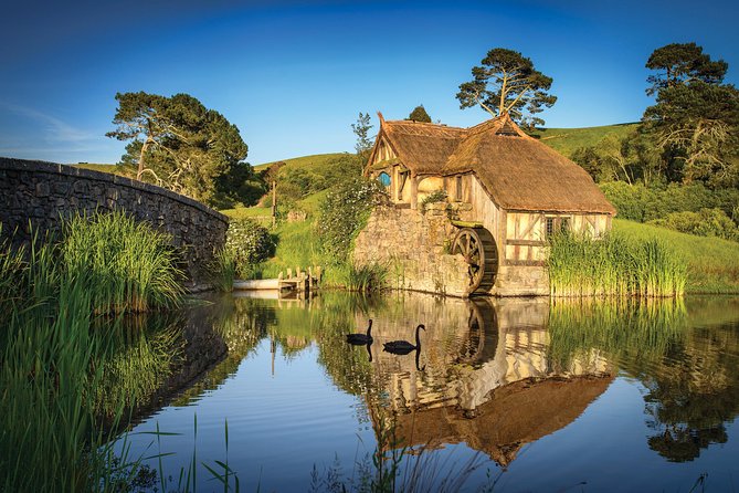 Auckland to Rotorua via Hobbiton Movie Set Tour - One Way - Who this tour suits best (and who should reconsider)