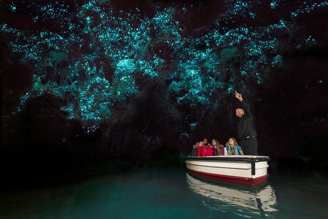 Auckland to Waitomo Caves and Hobbiton Movie Set Private Tour - Who this Auckland private tour suits best