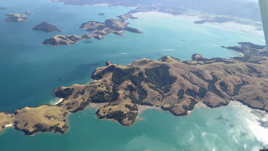 Auckland: Waiheke Island Wine and Food Tasting with Flights - Who Should Book This Tour, and Who Should Skip