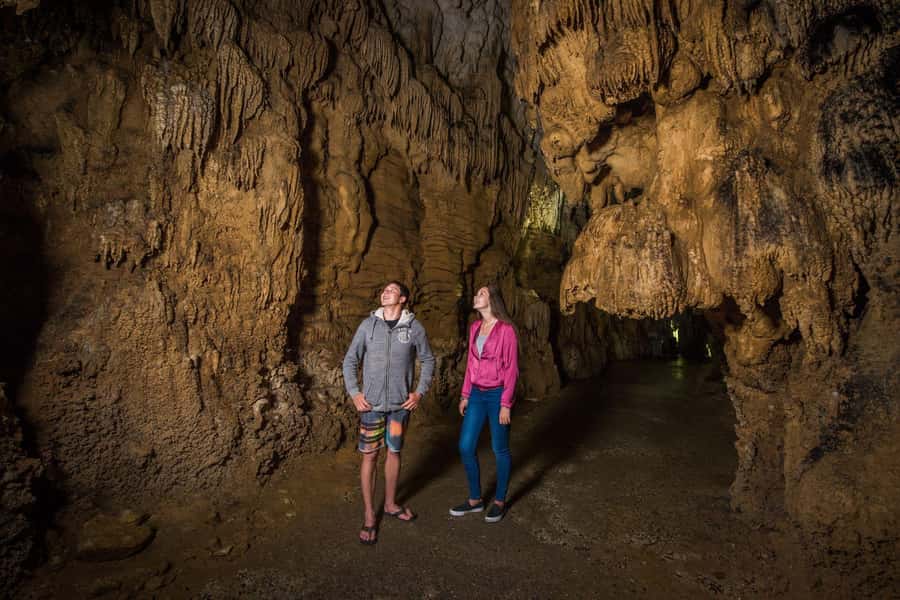 Auckland: Waitomo Caves & Rotorua - Te Puia Small-Group Tour - What to pack for a cave-to-thermal day