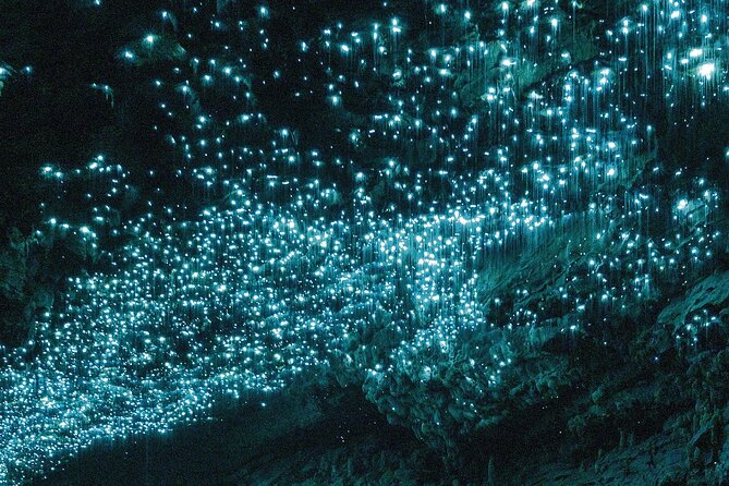 Auckland : Waitomo Spellbound Glow Worm Twin Caves Private Tour - Private Auckland to Waitomo: Why this day tour feels worth the cost