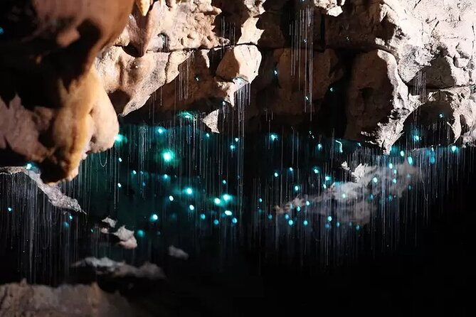 Auckland : Waitomo Spellbound Glow Worm Twin Caves Private Tour - Te Ana o Te Atua: limestone drama after the glow