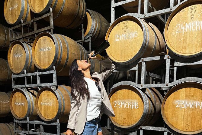 Auckland West Vineyard Tour with lunch and tastings incl - Key things to know before you go