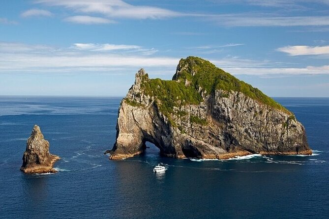 Bay of Islands Private Tour - Key points to know before you go