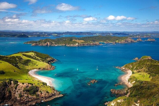 Bay of Islands Private Tour - From Auckland to Paihia: the scenic drive that sets expectations