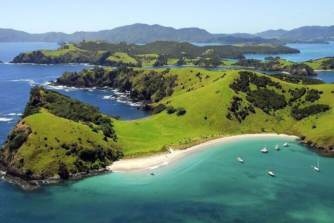 Bay of Islands Private Tour - The guided catamaran cruise: dolphins and Hole in the Rock in one run