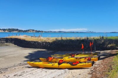 Browns Island Motukorea Sea Kayak Tour - Stop 1: the one-hour Hauraki Gulf paddle out (views + marine spotting)