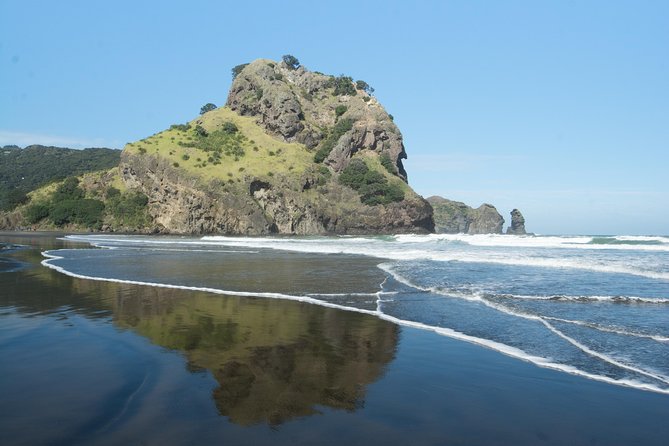 Coast and Rainforest Eco-Tour from Auckland with Picnic Lunch - A Helpful Shortcut From Auckland to the Waitakere Coast