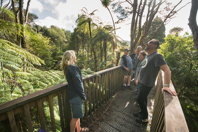 Coast and Rainforest Eco-Tour from Auckland with Picnic Lunch - How the Guides Shape the Day (Paul, Ian, Meredith, Annie, and More)