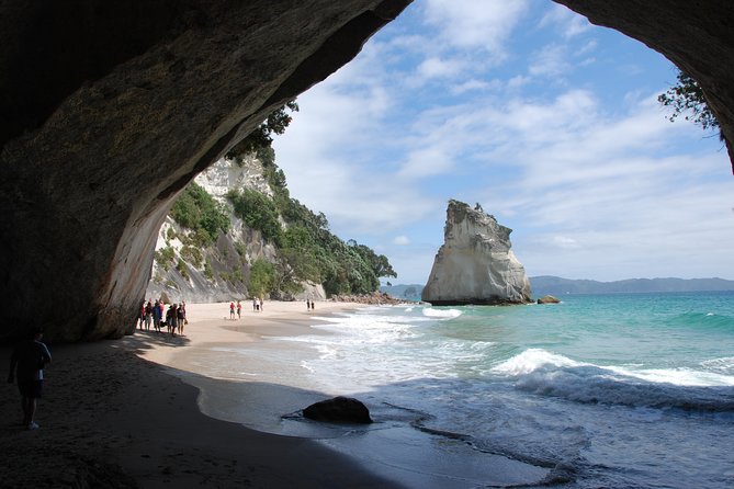 Coromandel Coastal Experience - Small Group Tour from Auckland - From Auckland at 7:00 am: how the day is paced