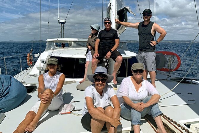 Exclusive Sailing Charter from Waiheke Island - Wildlife spotting: how to make the most of seabirds, dolphins, and whales