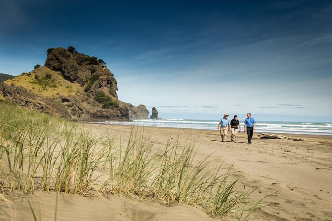Explore Auckland: Self Guided Audio Tour - Admission Fees and Paid Stops: Know What’s Extra