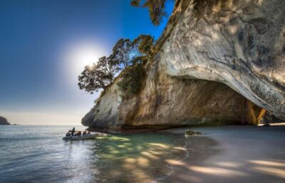 From Auckland: Cathedral Cove & Hot Water Beach Tour - Getting to Coromandel: Waikato countryside and native forest vibes