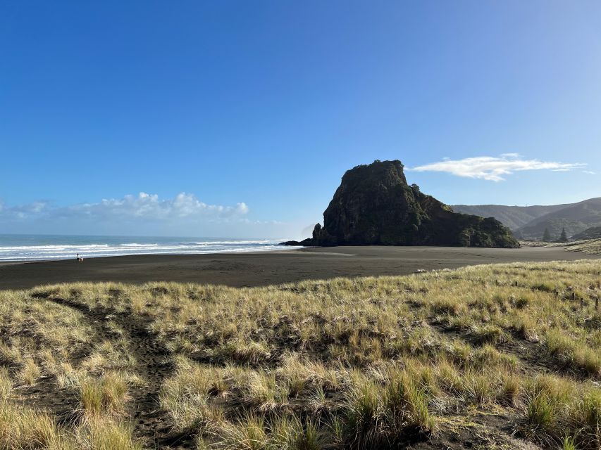 From Auckland: Guided Tour of Piha with Scenic Beach Walks - North Piha loop through native forest: the calm part of the day
