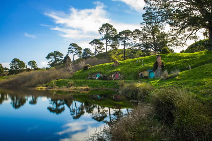 From Auckland: Hobbiton Movie Set Full-Day Small-Group Trip - The Auckland-to-Matamata drive: more than just transportation